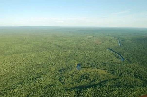 Погода чисто поле красноярский край. Поля красноярского края. Поля красноярского края. Поля красноярского края. Поля красноярского края.