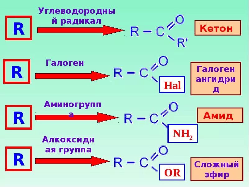 Радикалы углеводородов. Функциональные производные карбоновых кислот. Углеводородный радикал. Производные карбоновых кислот. Карбоновые кислоты с галогенами.