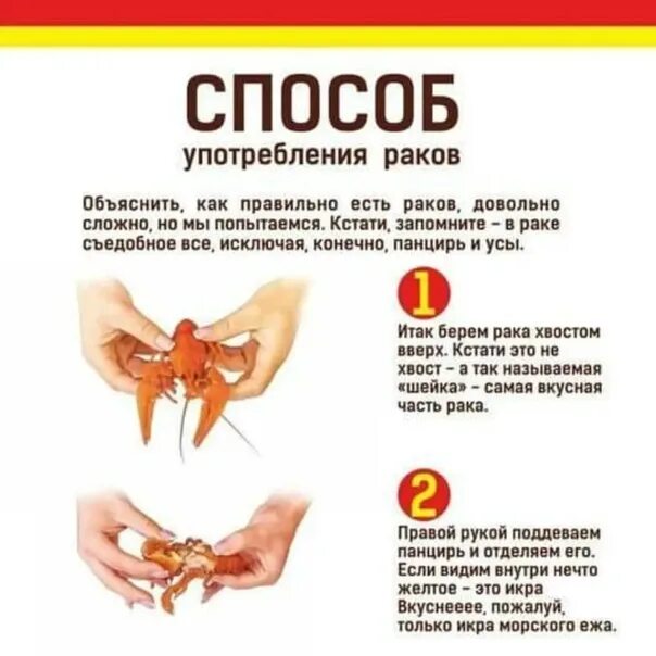 Как правильно кушать раков!!! ВКонтакте