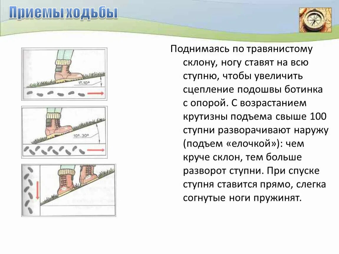 Плотный проведение. Приемы ходьбы в горной местности. Передвижение по травянистым склонам. Движение по травянистому склону в туризме. Подготовка и проведение пеших походов на равнинной и горной.