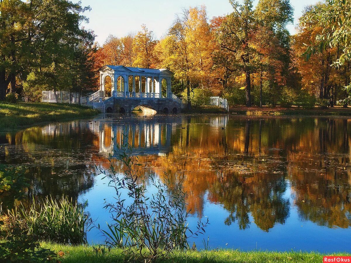 Жить в царском селе. Екатерининский парк Царское село. Пушкино Екатерининский парк. Санкт-Петербург Пушкин Екатерининский парк. Екатерининский парк Царское село осень.