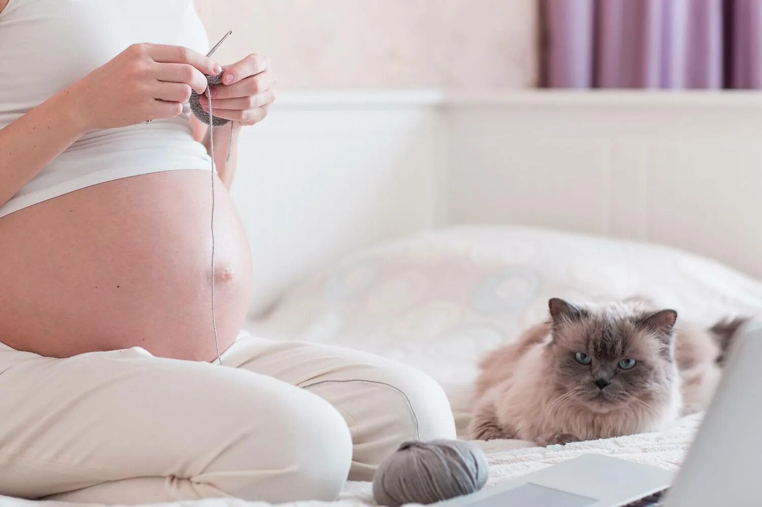 Беременные кошечки. Суеверия беременных. Котики и беременные женщины.