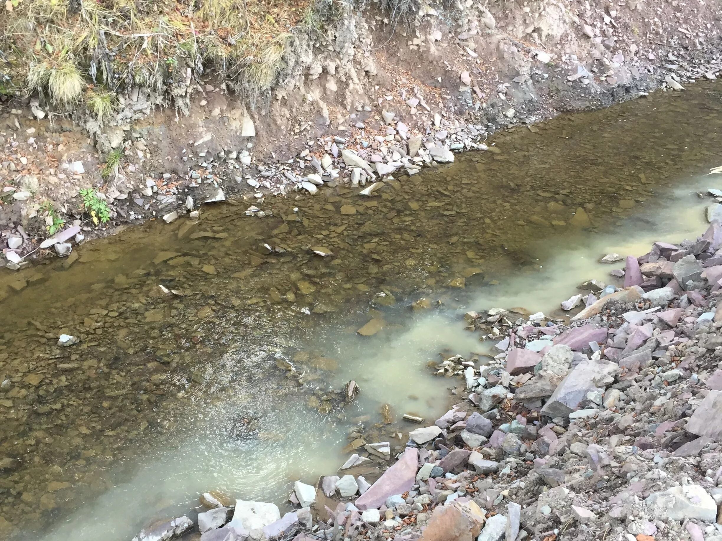 Загрязненные реки Кемеровской области-Кузбасса. Добыча золота Кузбасс река кия. Загрязненность рек Кузбасса. Золотоносные реки Кузбасса.