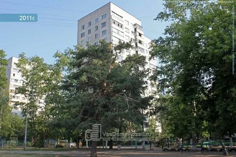 Улица осипенко 5