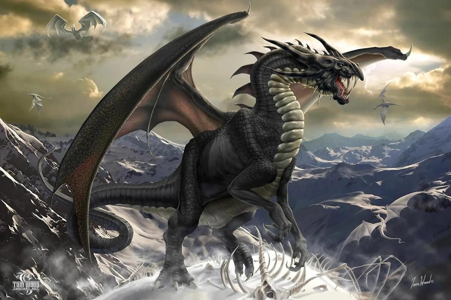 Dragons Squad - YouTube