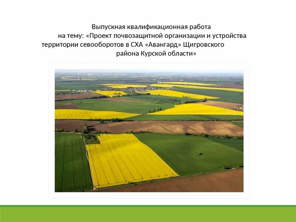 Севооборот в питомнике. Проект устройства территории севооборота. почвозащитные севообороты. севообороты в сельском хозяйстве. противоэрозионные севообороты.