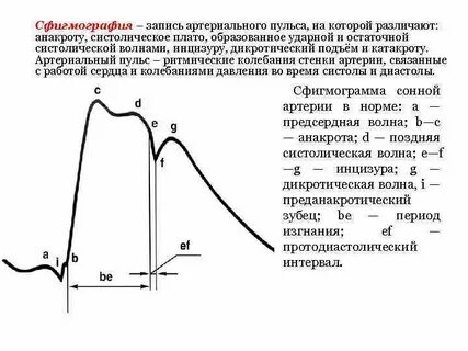Кривая регистрация
