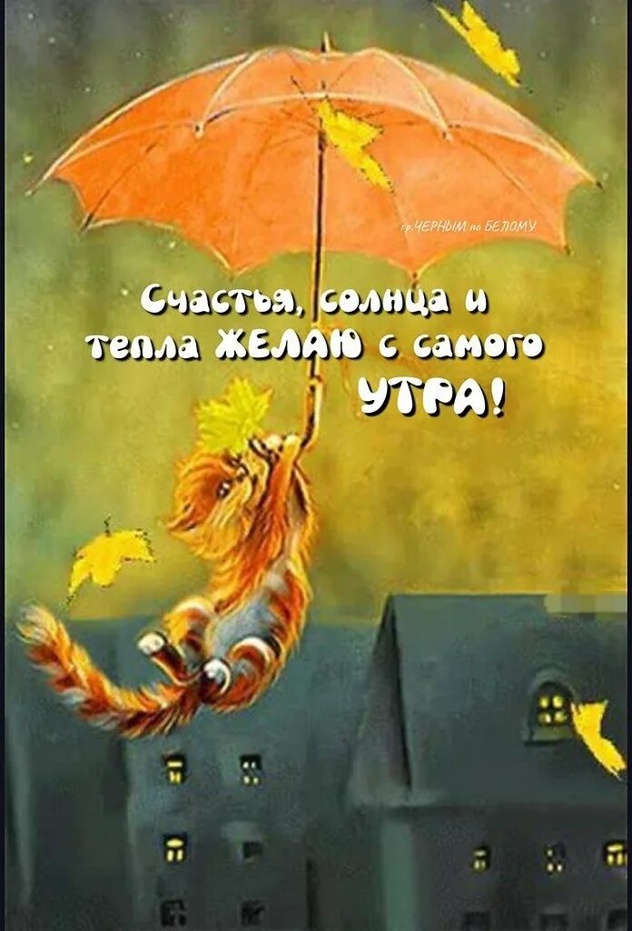 Pin on Доброе утро Good night greetings, Good morning greetings, Good morning fl