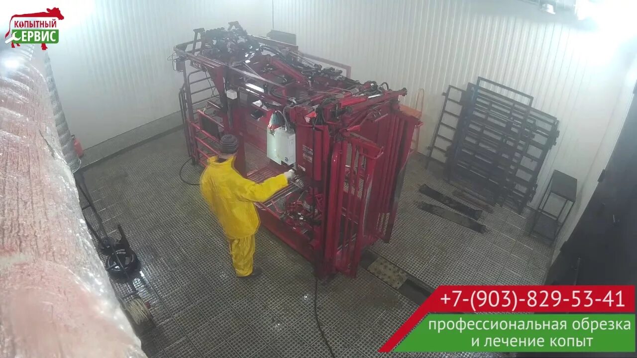 Разгрузка станка для обработки и лечения копыт Копытный сервис ™ - YouTube