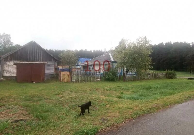 Погода в новоперуново алтайского края. Новоперуново Алтайский край. Село Новоперуново. С Новоперуново Тальменского р-на. С Новоперуново ул Тальменская.