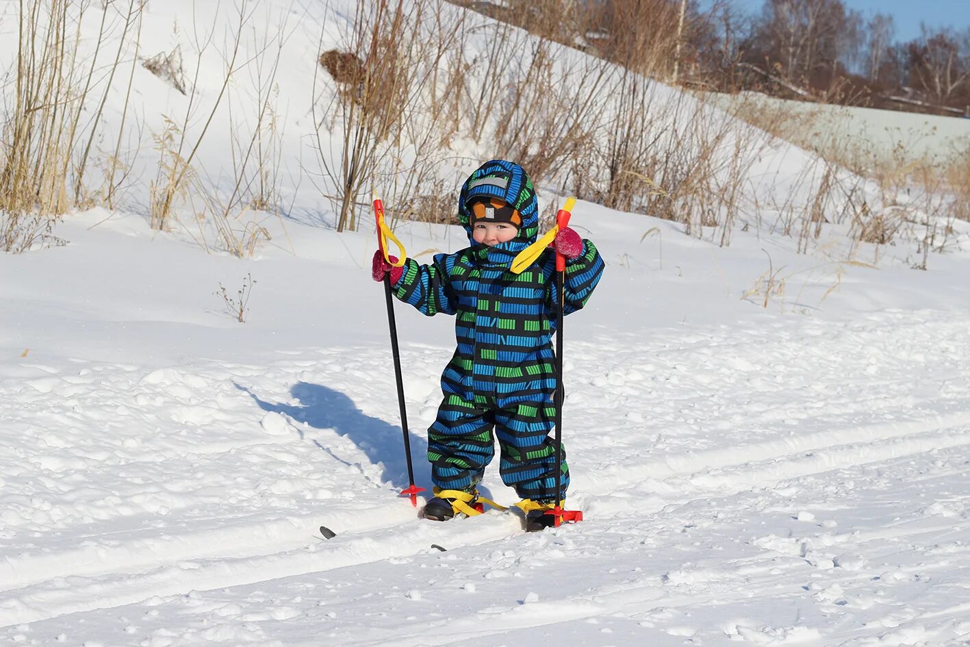 Дети катаются на лыжах. Малыши катаются на лыжах. Лыжи для дошкольников. Дети на беговых лыжах.