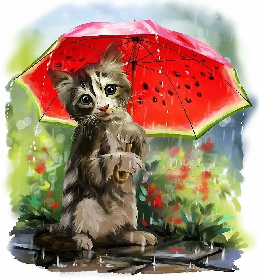 Открытка дождливая погода. Котик с зонтиком. Котик под зонтиком. Кот под зонтом. Котенок под зонтом.