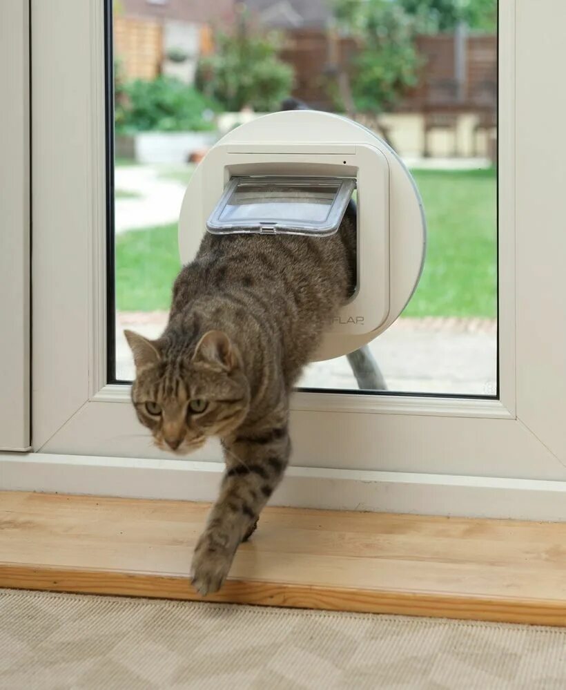 Выход кошечки. Дверь для кошки. Дверца для кошек. Дверка для кошек в дверь. Дверца для кошек в окне.
