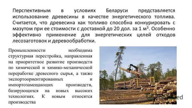 Комплексное использование лесов на примере Проект освоения лесов нужен при любой деятельности. Экопарк Z