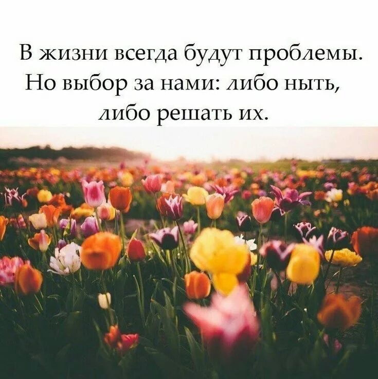 В жизни всегда получаешь то что