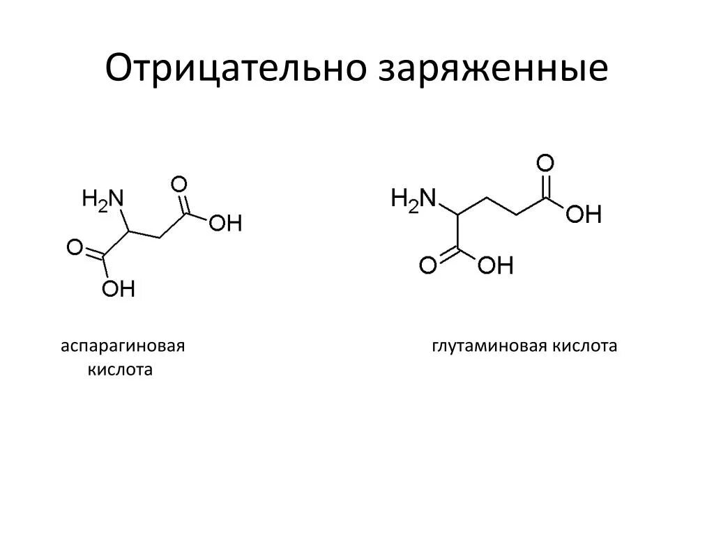 Аспарагиновая аминовая кислота. Аспарагиновая кислота формула. Аспарагиновая кислота и глутаминовая кислота. Аспарагин кислота формула.