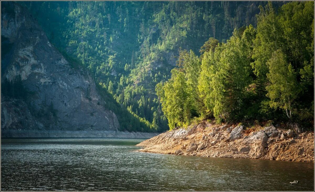 Река Бирюса Красноярский край. Река Енисей Красноярск. Река Бирюса в Иркутской области. Исток реки Енисей. Река сибирь истоки