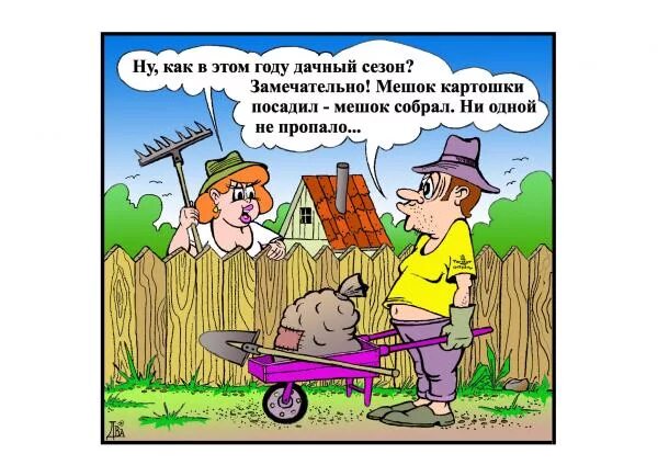 Веселые картинки про дачников. Веселые картинки про дачу. Смешные карикатуры про дачников. Открытка про дачу и огород прикольные. Жальче как правильно