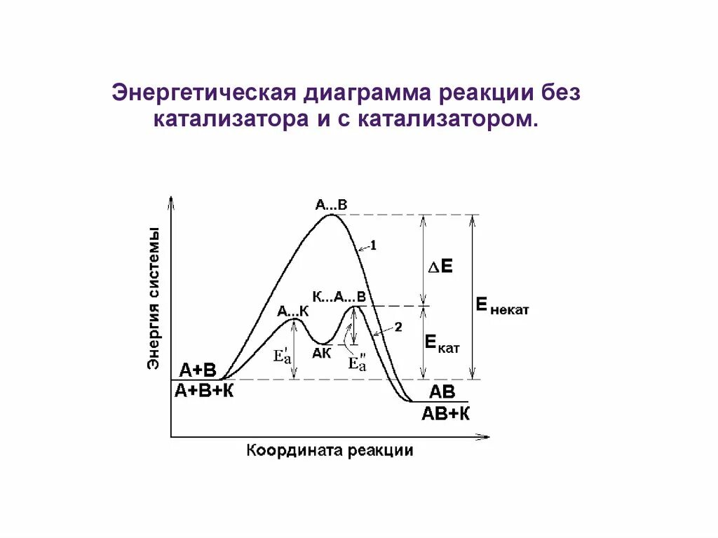 Энергетический профиль каталитической реакции. Каталитические и некаталитические реакции примеры. Некаталитические реакции в органической химии. Каталитические реакции. Механизмы реакций.