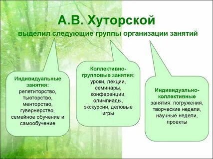Виды занятий групповые индивидуальные