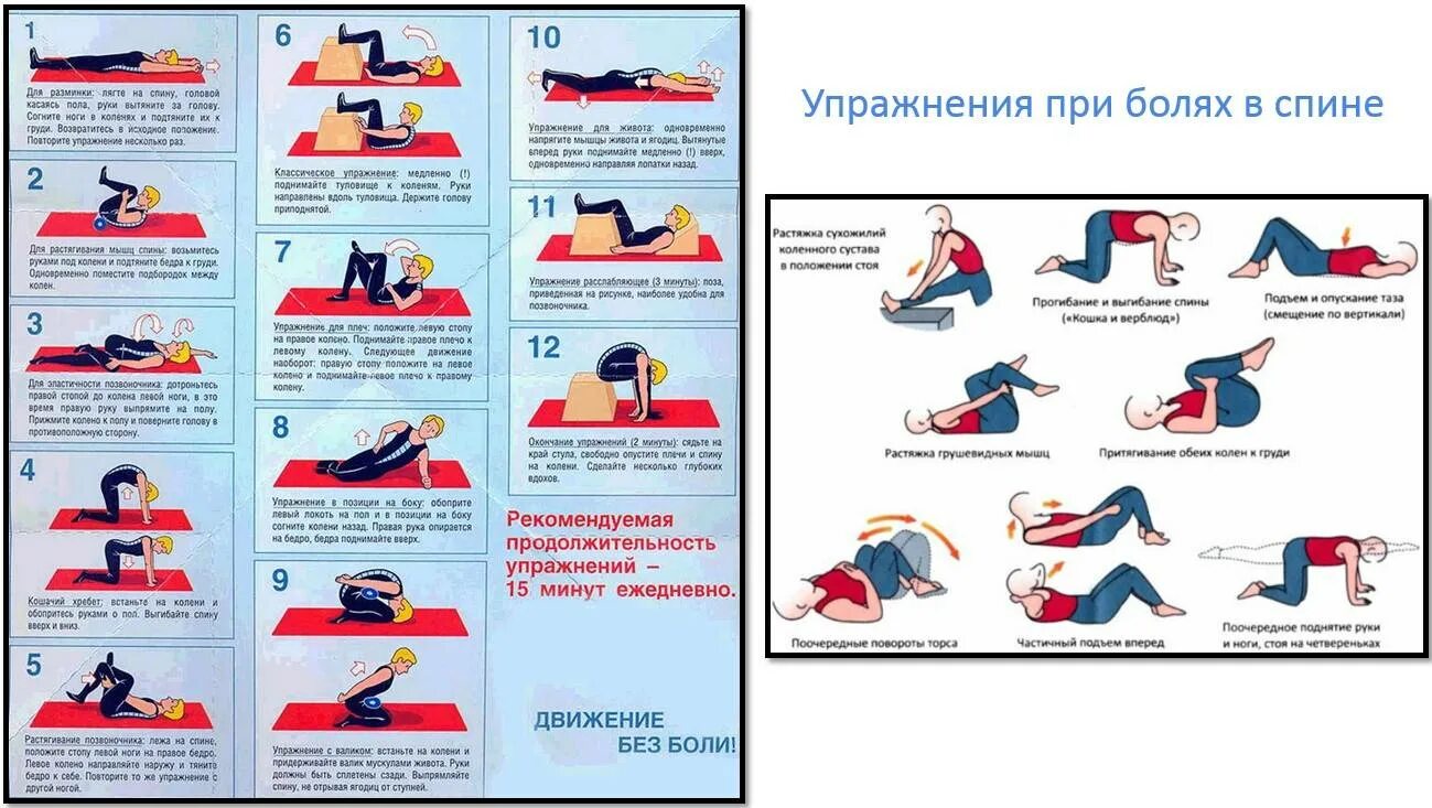 Боль в спине и правой ноге. Гимнастика для спины при грыже поясничного отдела и остеохондрозе. Упражнения для мышц поясничного отдела позвоночника при грыже. Комплекс упражнений для спины при грыже в поясничном отделе. Гимнастика для грыжи поясничного отдела позвоночника при болях.