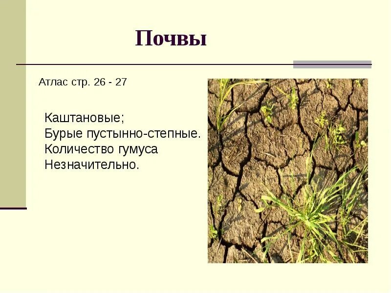 Полупустыни тип почвы. Почвы полупустынь. почвы полупустынь в россии. почвы пустынь и полупустынь. почва в пустыне и полупустыне.