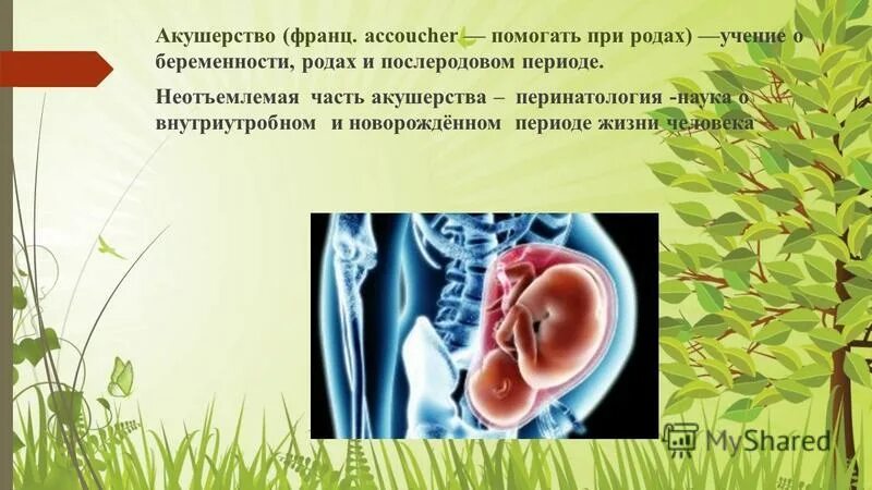 Ученье род. Учение даосов. Пословица путь к умению. Ученье род. Учение об идолах бэкона.
