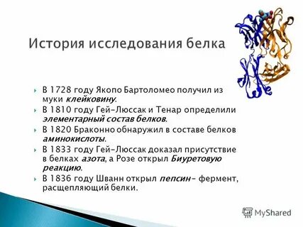 Состав белка в рыбе