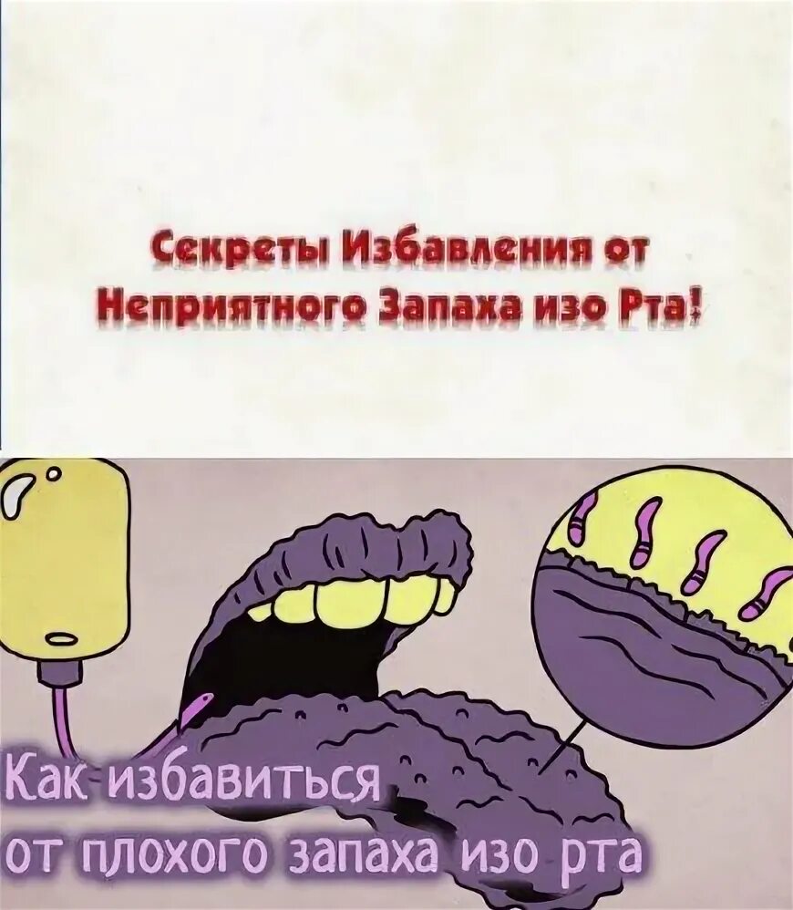 Пахнет железом изо рта. Избавляет от неприятного запаха изо рта. Огурец от запаха изо рта.