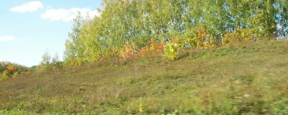 Горит дом в липецке на жд казинка. Погода дегтевая краснинский липецкая. Корытное липецкая область. Церковь невежеколодезное. Погода дегтевая краснинский липецкая.