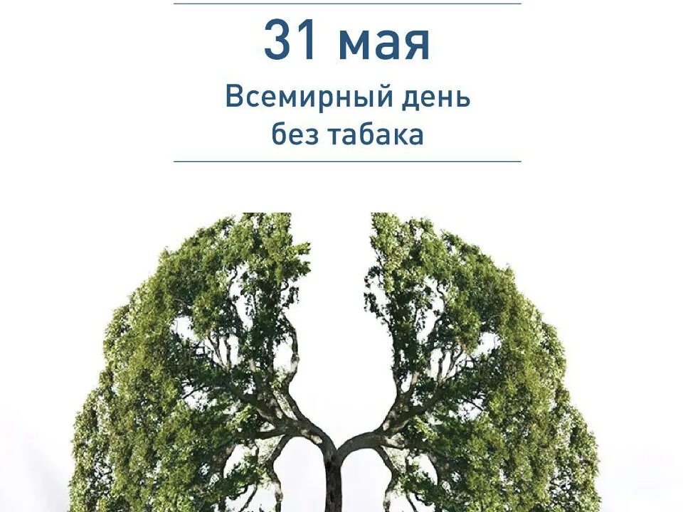 Всемирный день без. Всемирный день без табака 2022. 31 Мая Всемирный день без табака. Всемирный день борьбы с курением в 2022 году. Акция Всемирный день без табака.