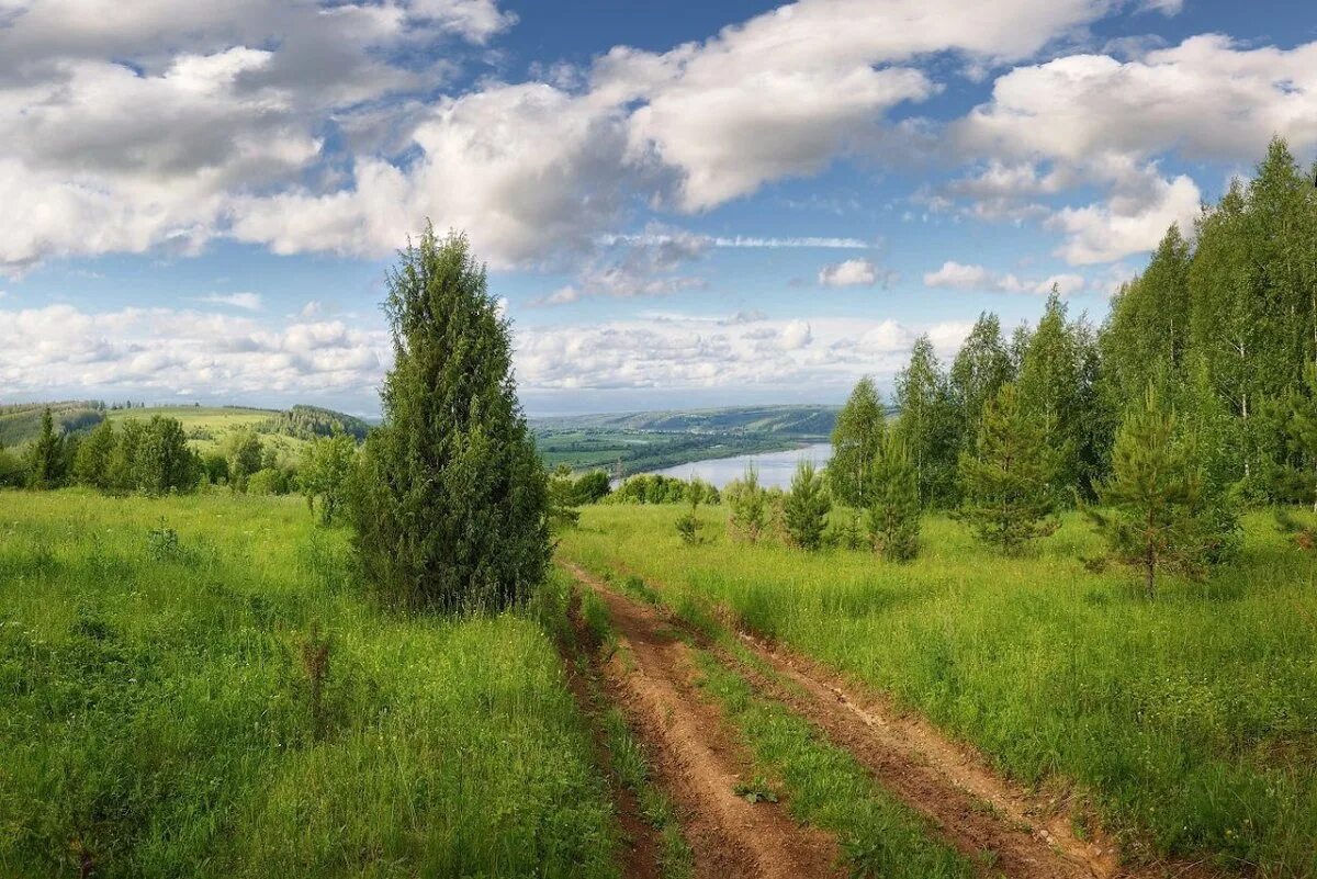 Вятка Кировская область. Вятские леса Кировская область. Вятский район Кировская область. Река Вятка Кировской области. Картинка кировская область