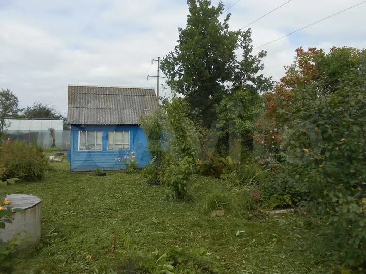 Снт володарец рыбинск. Снт волга 92 кострома на карте. Энгельс. Снт жуковка рыбинск. Дача за 15000.