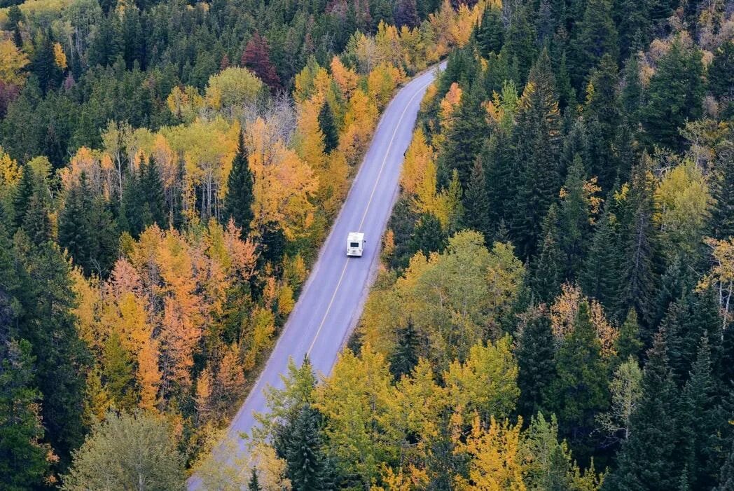Trees travel