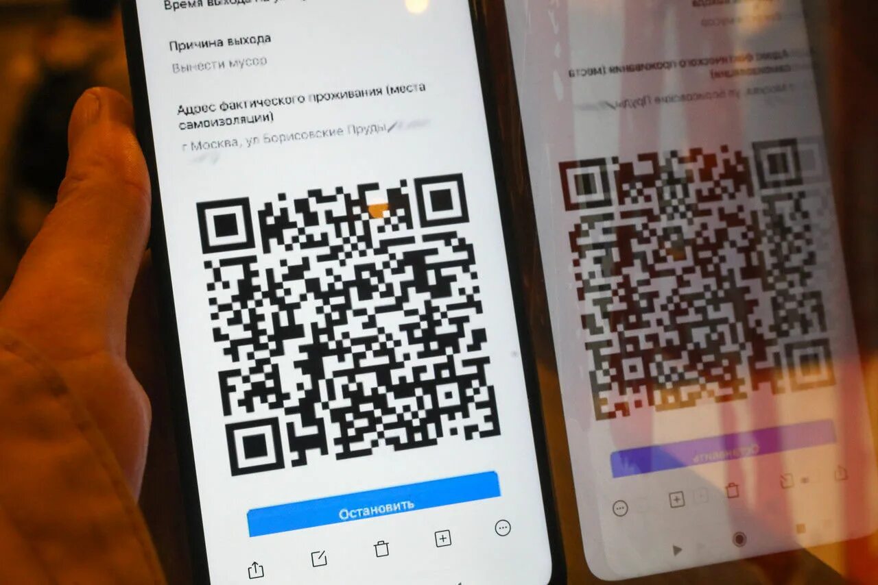 Антитела дадут qr код