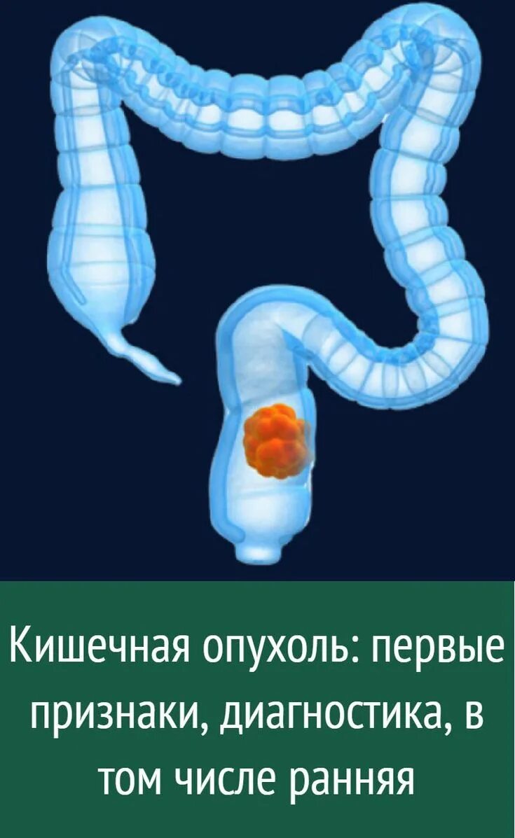 Рецепты Журнал о здоровье, Диета для плоского живота, Здоровье
