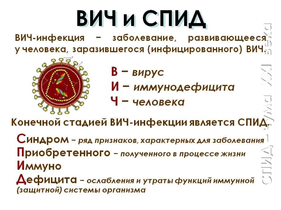 Как расшифровывается вич. ВИЧ СПИД. Витч. Вирус иммунодефицита человека (ВИЧ / СПИД).