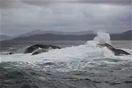 Море волнуется 2021