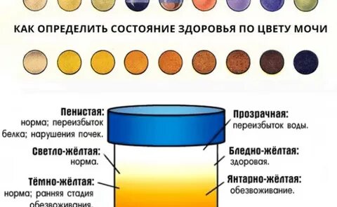 Нормальным тоном