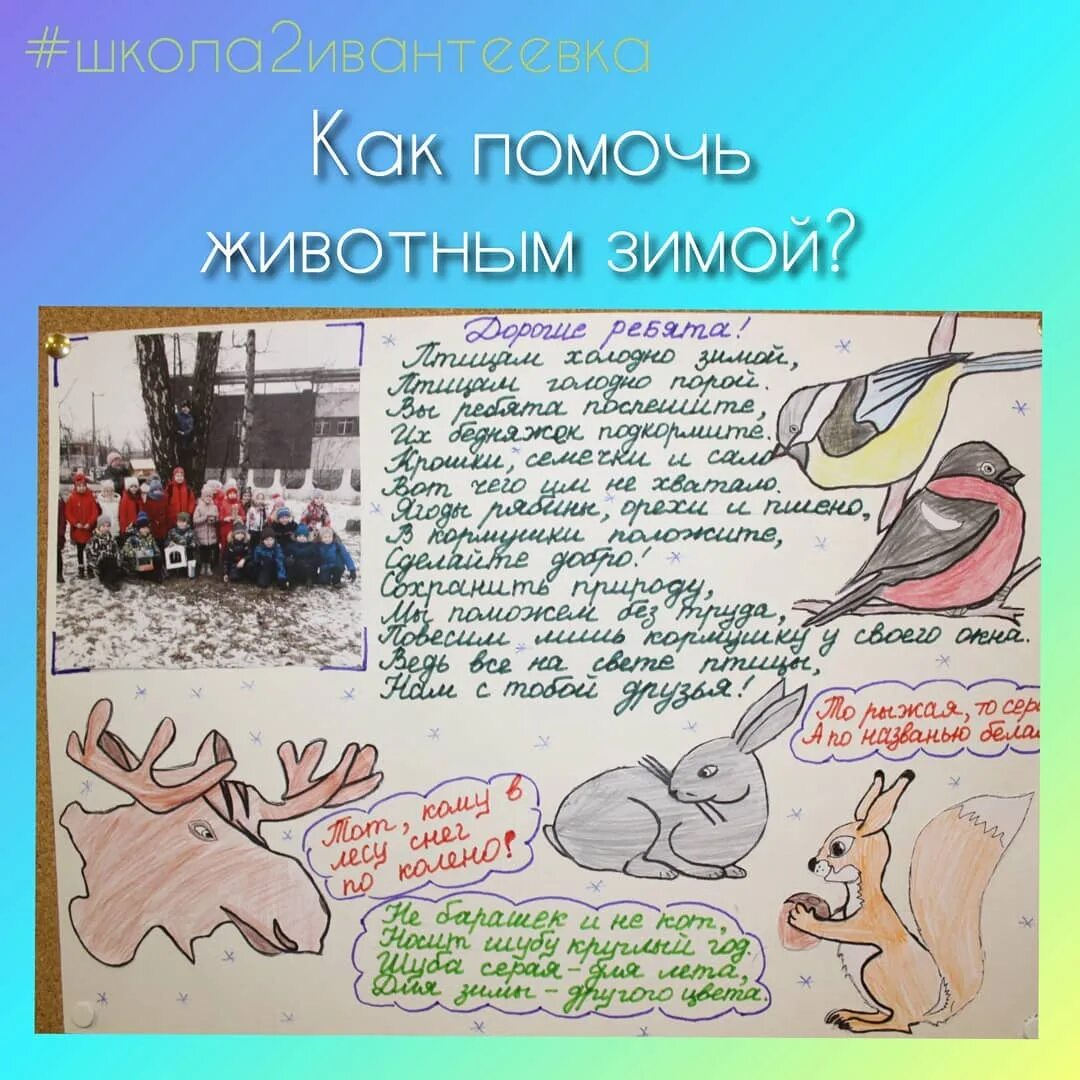 Как помочь животным в зимнее время 2. Как помочь животным в зимнее время. газета для школы как помочь животным. сочинение как можно помочь животным зимой. написать сочинение как я помогаю животным в зимнее время.