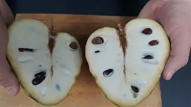 Se pueden comer las semillas de chirimoya