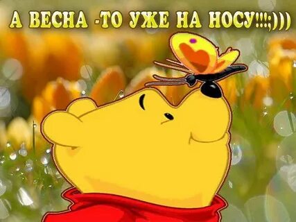На носу лета