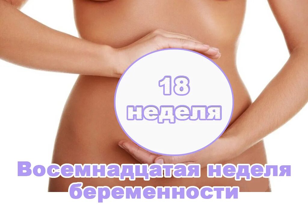 18 неделя беременности вторая беременность. 19 Недель это сколько месяцев. 19 Недель беременности сколько месяцев. 19 Неделя беременности месяц. Двадцать пятая неделя беременности.