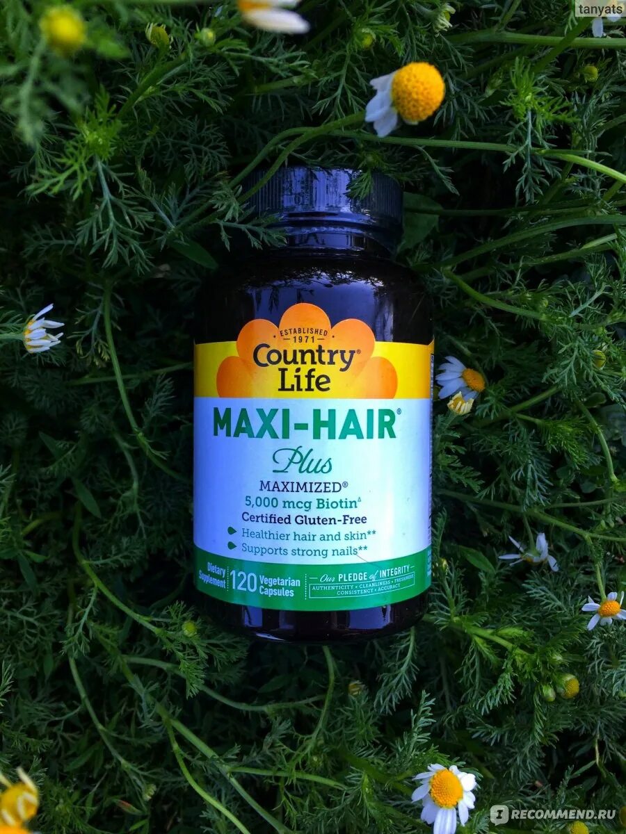 Maxi hair plus. Country Life Maxi hair Plus. Maxi hair Plus 120. Капсулы Country Life Maxi hair Plus, 120 шт.. Картинка Country Life, Maxi-hair.