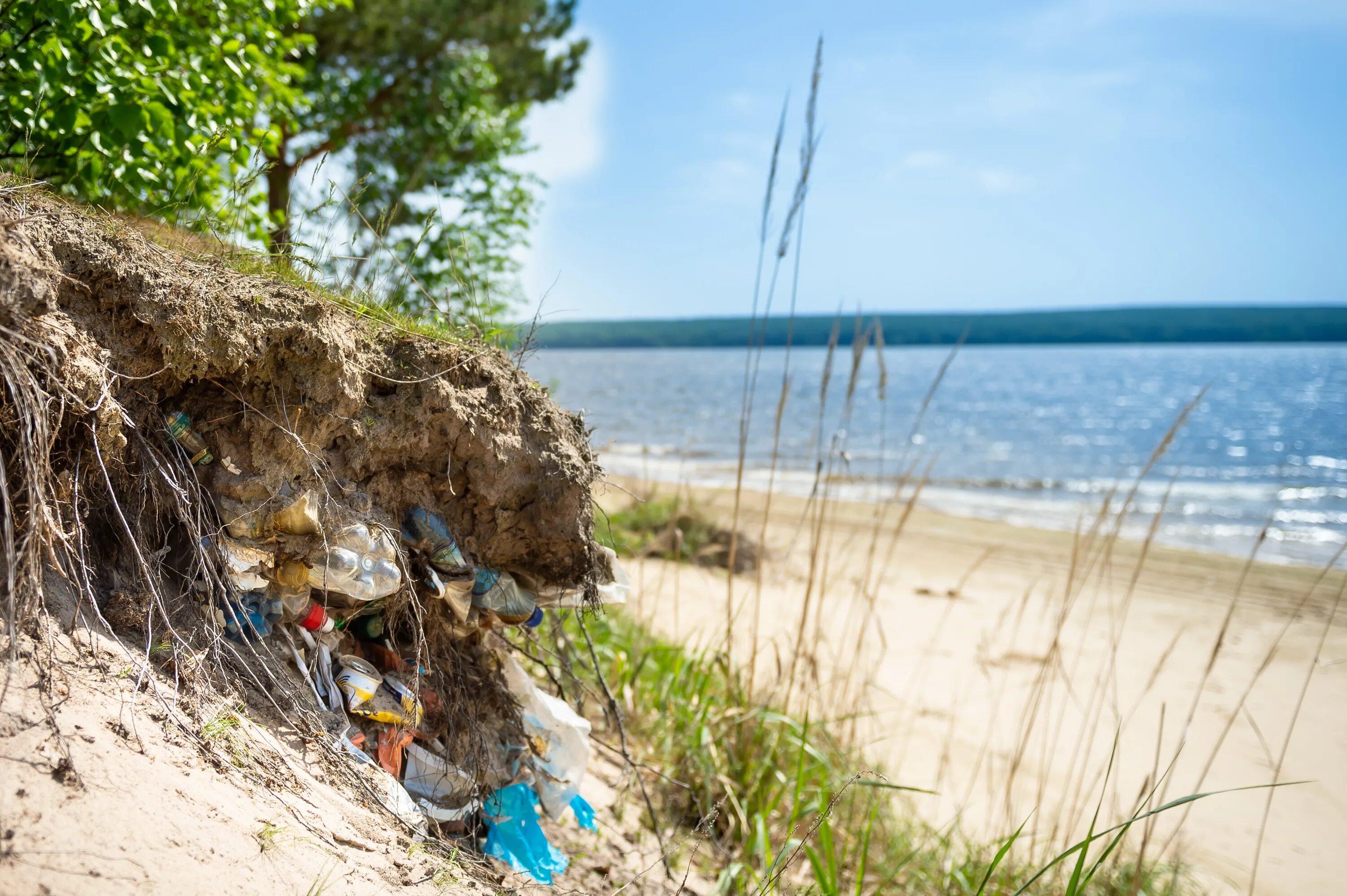 Сброс воды сурское. Сурское море Пенза. Сурское водохранилище в Пензе. Сурские берега Саранск.