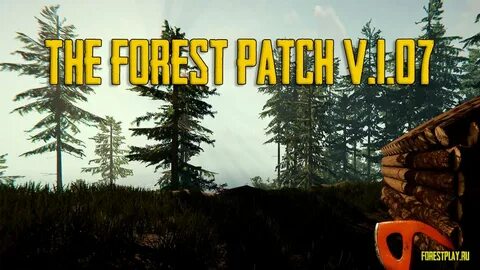 Достижения the forest