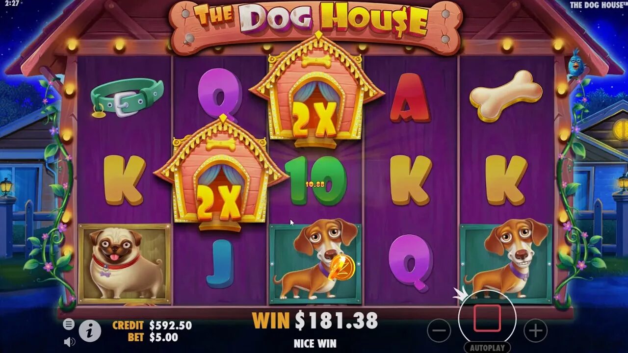 Dog House слот. Игровой автомат дог Хаус. Слот собаки казино. Слот дог Хаус Мегавейс. Слот дог хаус мегавейс dogs house net