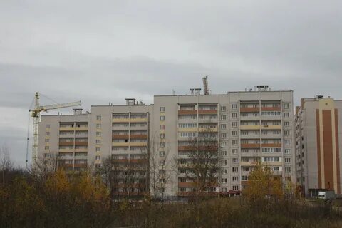 Новосельцы смоленск