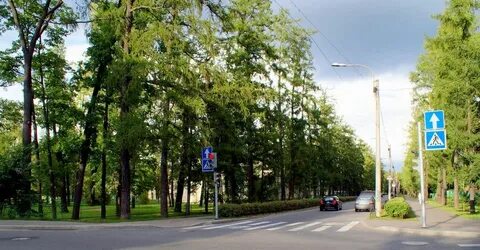 Ремонт петербургского шоссе в пушкине