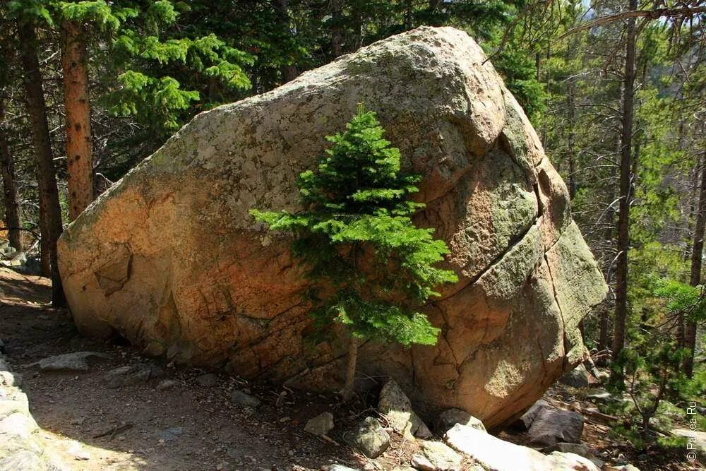 Под камешком. Водяной камень. Камни на берегу реки. Разноцветные камни. Красивые морские камни.